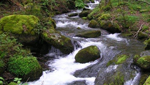 Ondas del Río Guarápas