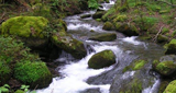 Ondas del Río Guarápas