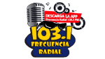 Frecuencia Radial