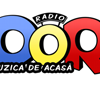 Radio Dor