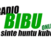 Radio Bibu