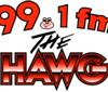 99.1 FM The Hawg