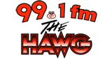 99.1 FM The Hawg