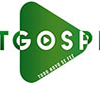 Radio NT Gospel