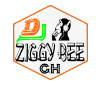 Dj Ziggy Bee pro