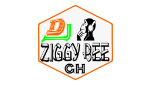 Dj Ziggy Bee pro