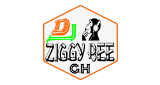 Dj Ziggy Bee pro