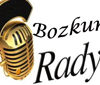 Radyo Bozkurt