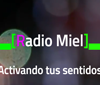 RadioMiel