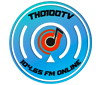 THD100TV FM 104.65