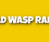 Mad Wasp Radio