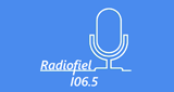 Radiofiel