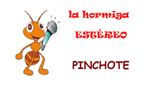 La hormiga estéreo Pinchote
