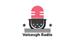 Voicesgh Radio