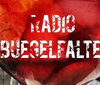 Radio Buegelfalte