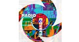 Radio CIP - Covers