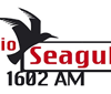 Radio Seagull