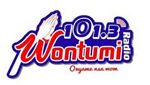 Wontumi Radio