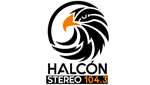 Halcon Stereo