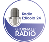 Giornale Radio Edicola 24