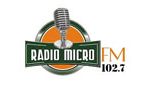 Radio Micro FM