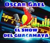 El Show Del Guacamaya