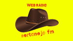 Sertanejo FM