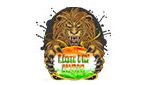Lion FM India