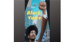 Radio Black Voice